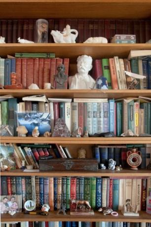 Police za knjige s brojnim kipovima.