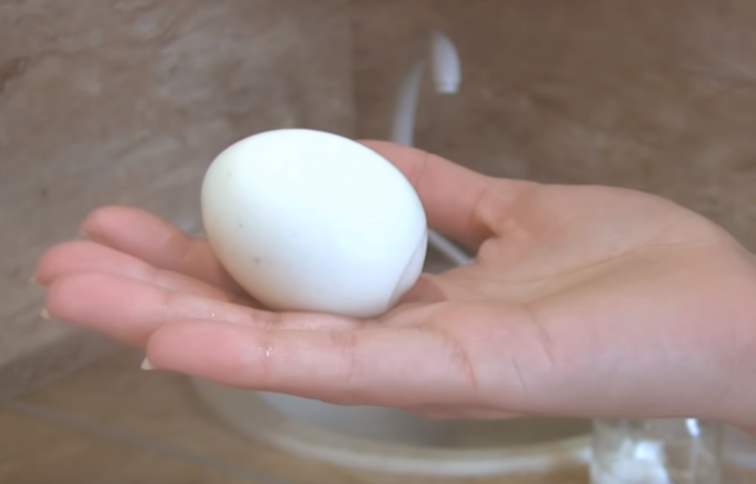 Svatko želi jesti jaje savršen Gorny! / Foto Izvor: youtube.com/channel/UCagplR5T275T6em4AQOYNbQ
