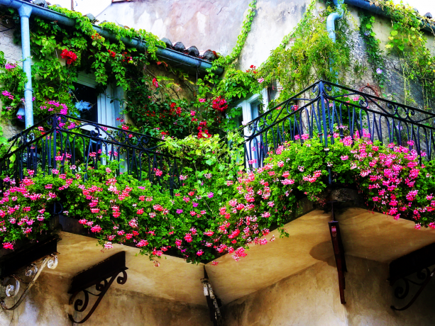 Zanimljivi varijante organizacija rascvjetale cvjetnjaka na balkonu (za one koji stvarno voli cvijeće)