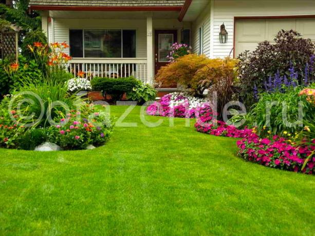 Blooming travnjak ispred kuće sa svoje ruke: Savjeti vrtlara