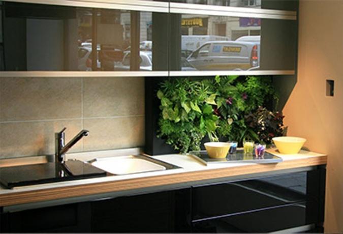 Zelenilo u kuhinji - svježe ideje za upotrebu domaćih biljaka