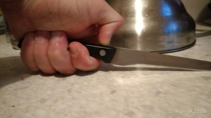 Kako odabrati kuhinjski nož?