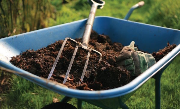 5 jesen gnojiva hraniti tlo nego u studenom