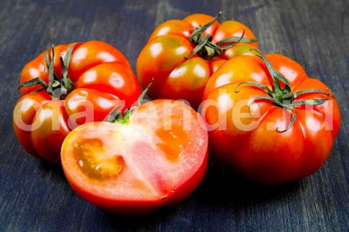 Za brzo pocrveni rajčice