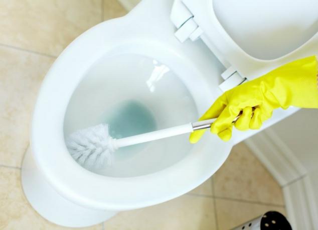 Kako očistiti toalet odvijačem?