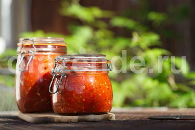 Recept salsa umak. Slika za članak služi za standardnu ​​licencu © ofazende.ru