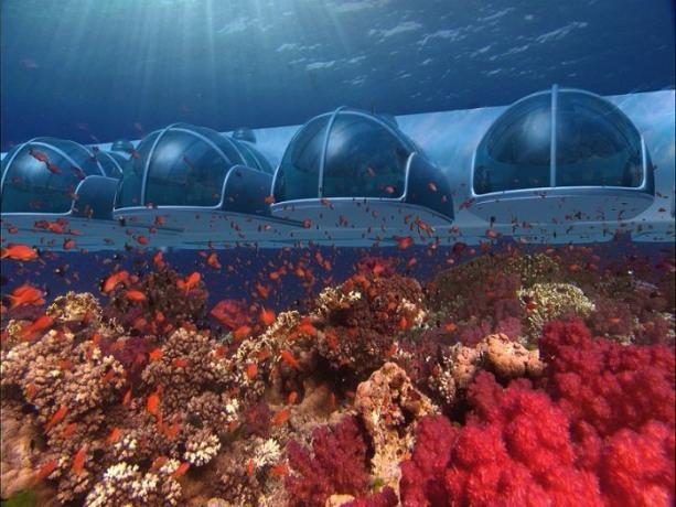 Podvodni hotel u arhipelagu Fidži. | Foto: s-media-cache-ak0.pinimg.com.