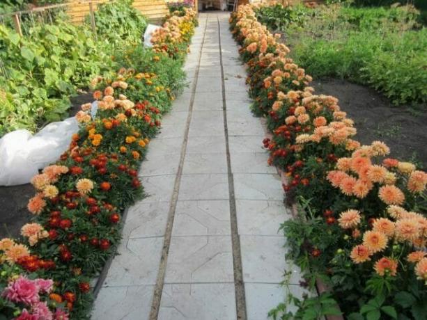 Cvjetni vrt traka ili izdužen jedan granični