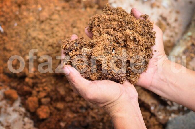 Upotreba piljevine kao gnojivo. Slika za članak služi za standardnu ​​licencu © ofazende.ru