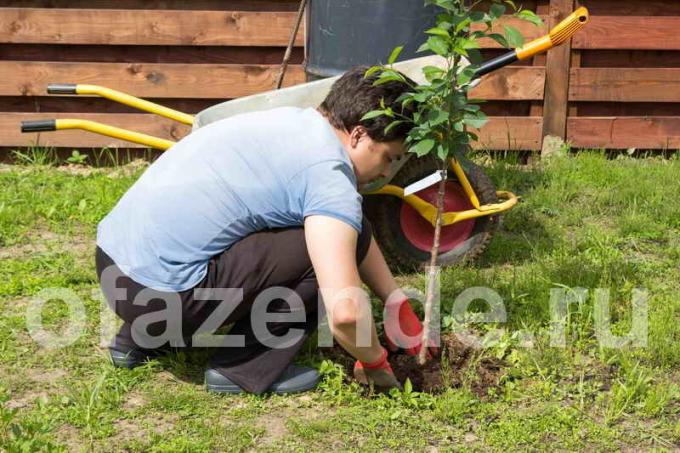 Pravovremeno cijepljenje - velika žetva