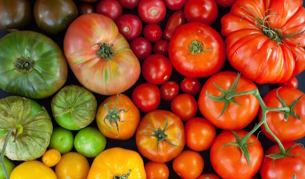 Izvorna metoda za uzgoj rajčice u krušne mrvice
