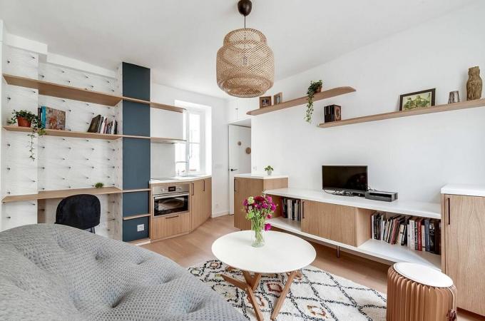 Moderni interijer maleni studio od 25 m² sa spavaćom sobom: Prije i poslije
