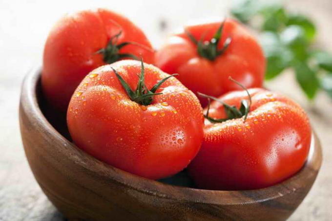 Bere rajčice. Slika za članak služi za standardnu ​​licencu © ofazende.ru