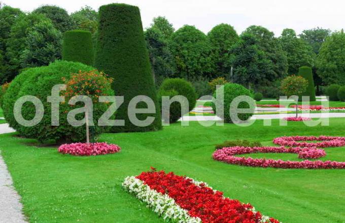 Vrt s ponavljajućim elementima. Slika za članak služi za standardnu ​​licencu © ofazende.ru