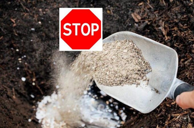 Zašto sam odbio koristiti superfosfat u svom vrtu i kako to može biti opasno