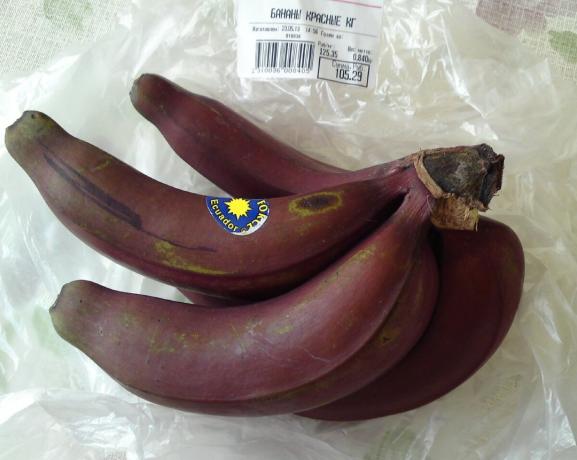Na policama supermarketa su crvene banane: što su okusa? Ja podijeliti svoja iskustva