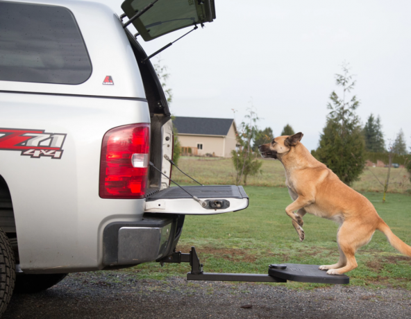 S Twistep ljubimce Korak pas skoči u auto lako
