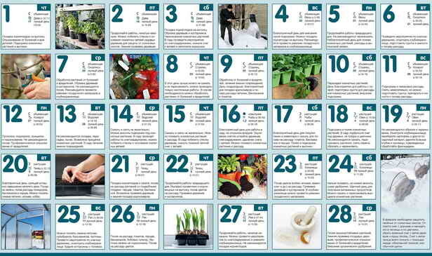 Vrtlarstvo kalendar za veljaču ...