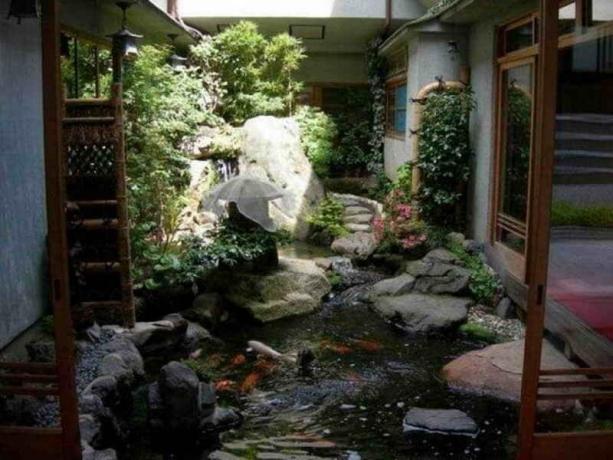 Vrt voda u dvorištu: Savjeti vrtlari