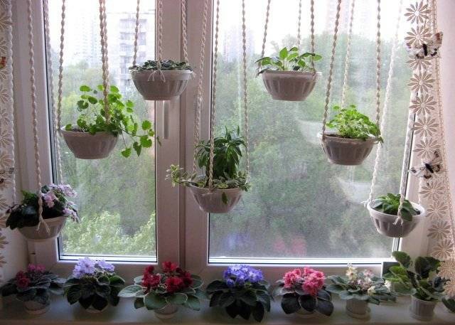 Izvorni ukras prozora s biljkama