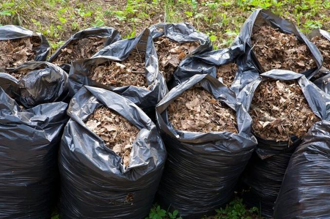 Priprava lisne gnojiva. Slika za članak služi za standardnu ​​licencu © ofazende.ru
