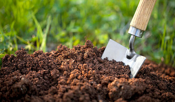 Samostalno odrediti tip tla u vrtu