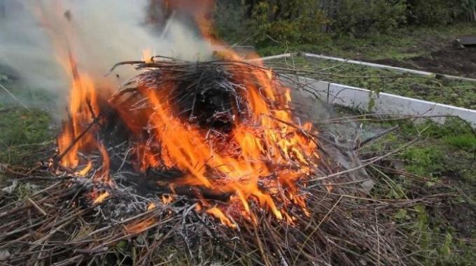 7 stvari koje ne bi trebali raditi u svojoj zemlji, a ne da imaju problema sa zakonom