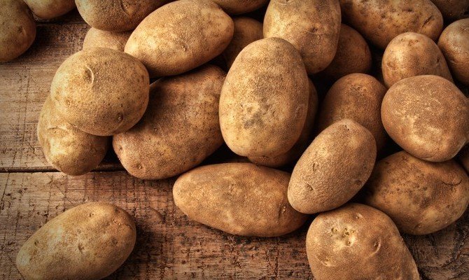 Kako i kada je potrebno iskopati krumpir, pa je pohranjena tijekom cijele zime
